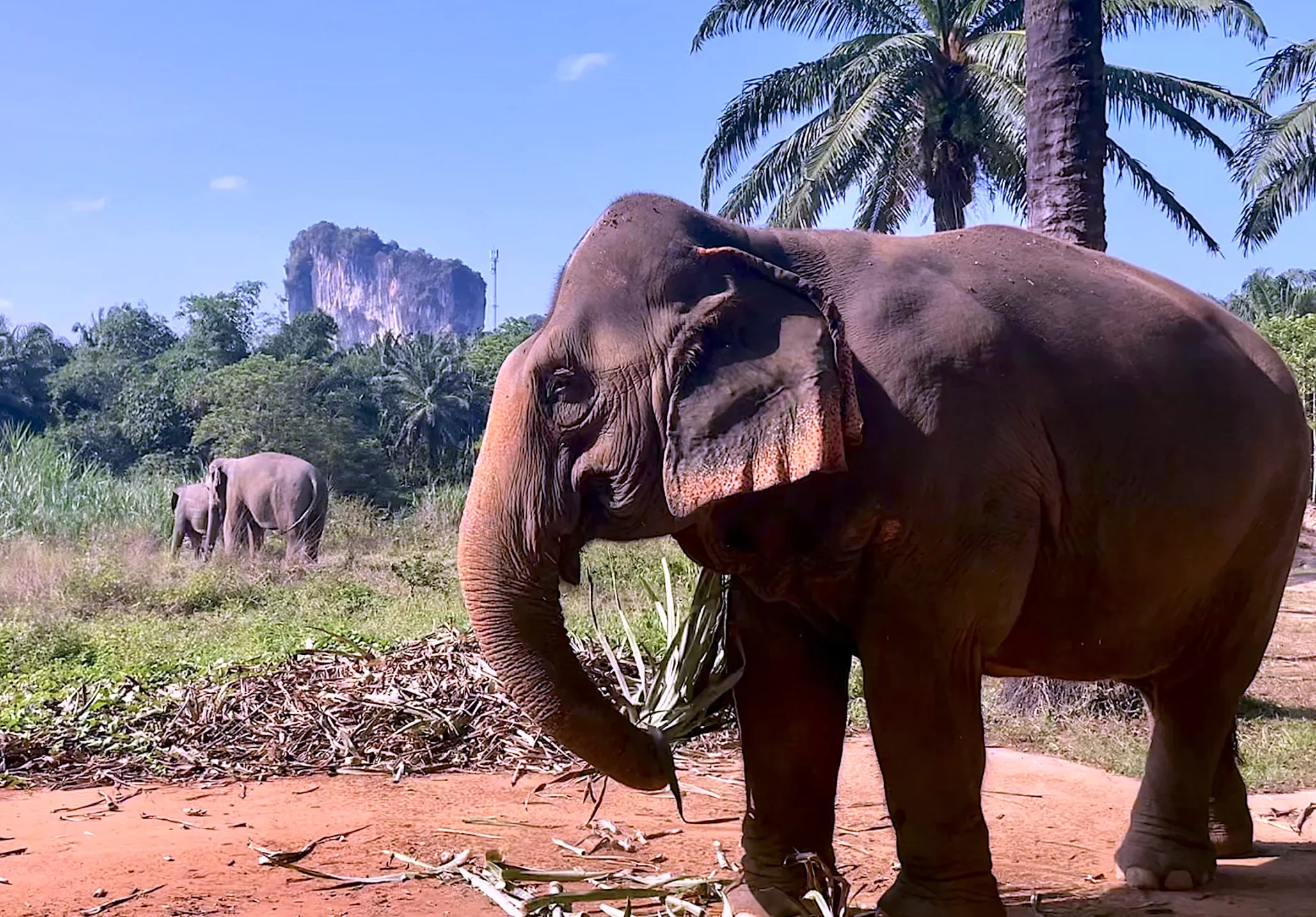 Certyfikowane Centrum Medycyny Podróży w Krakowie - Przylądek Zdrowia